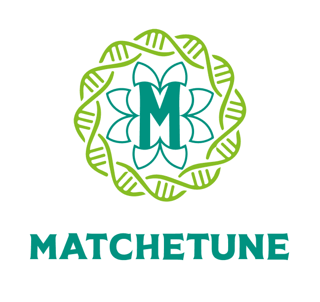 Matchetune Project